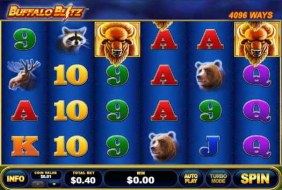 Buffalo Blitz — Playtech